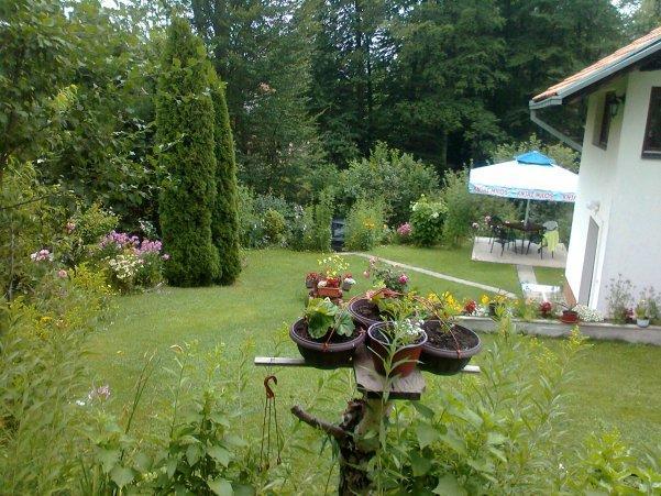 Ab Apartments Zlatibor Ngoại thất bức ảnh